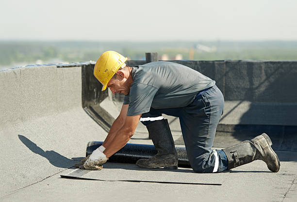 Best Energy Efficiency Solutions in Oak Park, IL