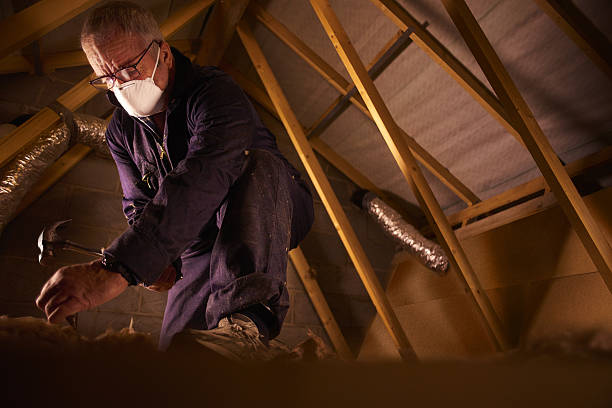 Best Residential Insulation in Oak Park, IL