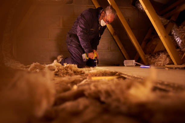 Best Insulation Installation Services in Oak Park, IL